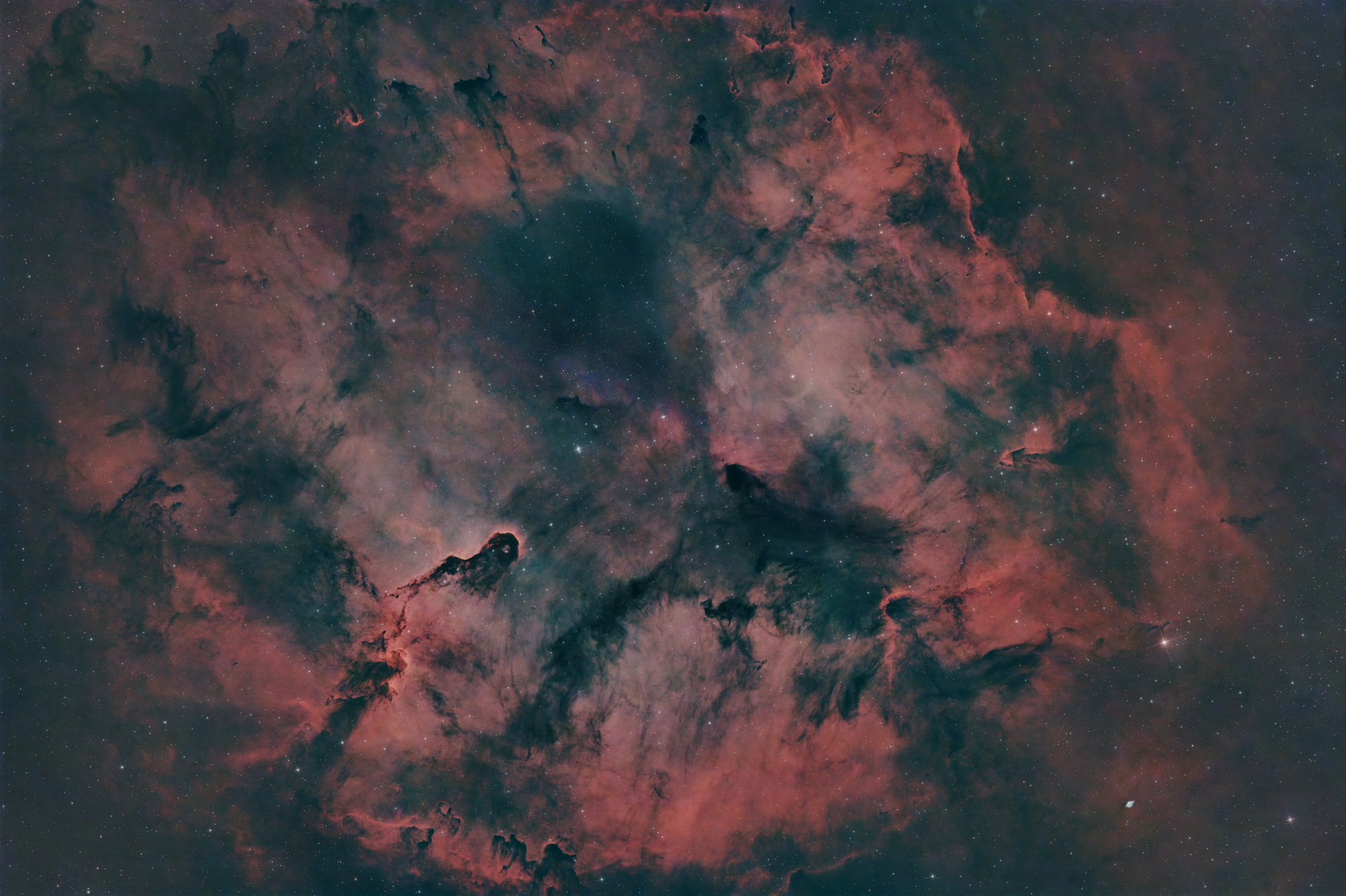The Elephant's Trunk Nebula IC1396 is a concentration of interstellar gas and dust within the much larger ionized gas region IC 1396 located in the constellation Cepheus about 2,400 light years away from Earth.